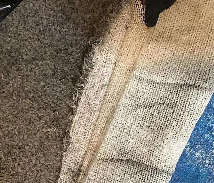 Carpets with water damage. 