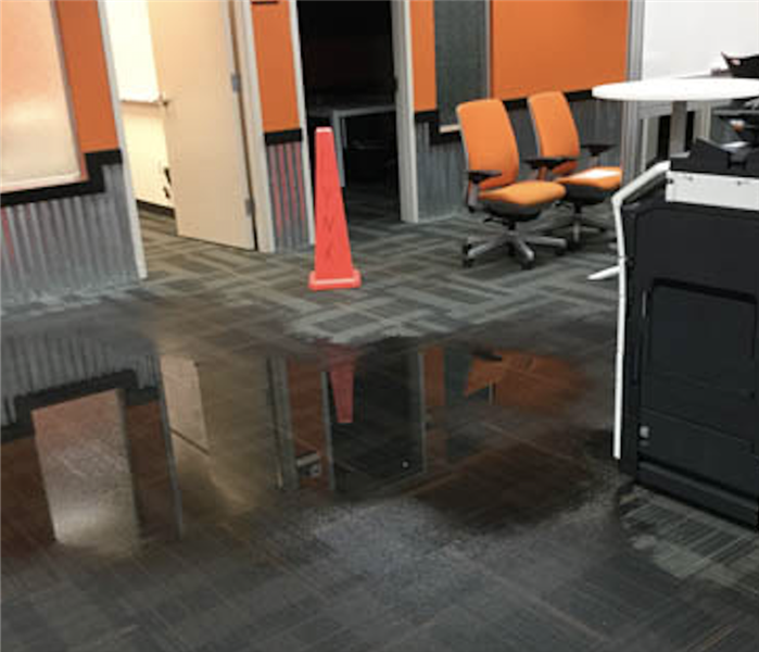 standing water in a business