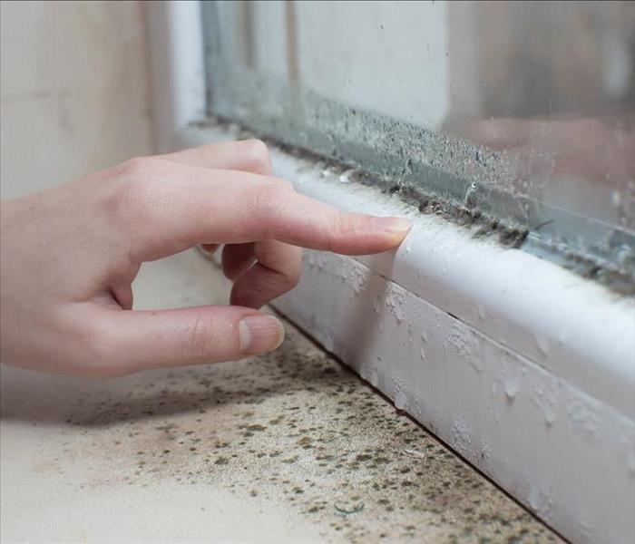Hand pointing at mold growing in a windowsill.