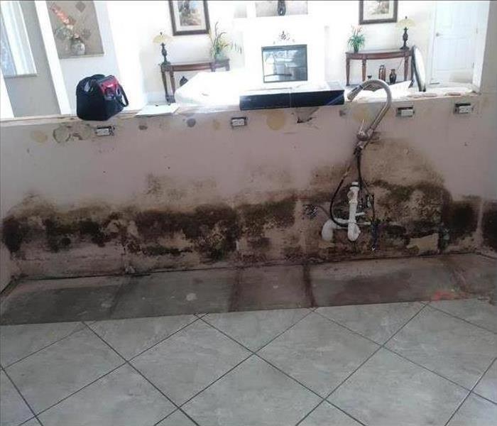 Mold growth in a residential home