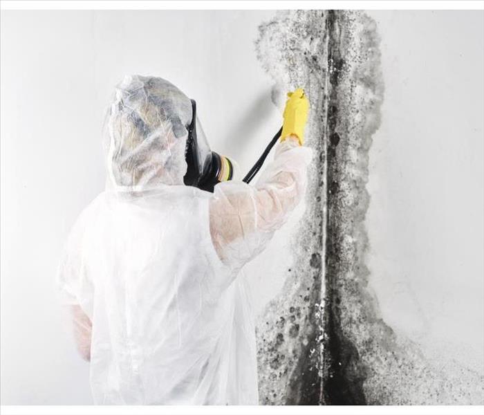 A professional disinfector in overalls processes the walls from mold.